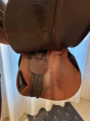 Selle Antares &eacute;volution 2022