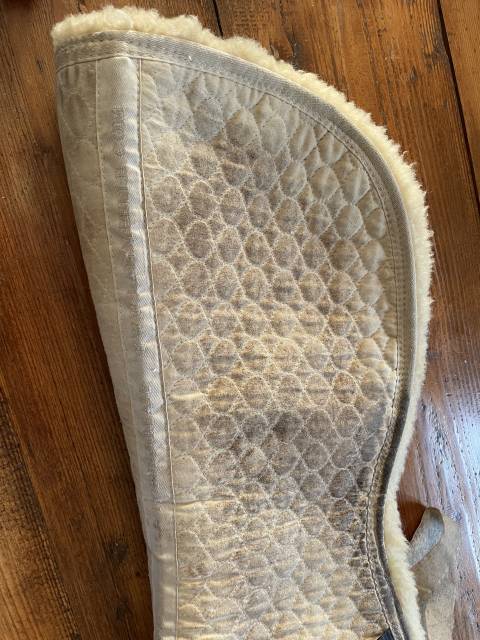 Amortisseur mouton Werner Christ