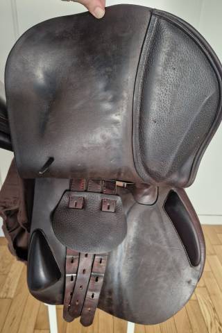 Selle Equipe Expression 17"