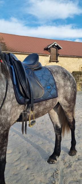 Selle Zaldi San Jorge 17,5