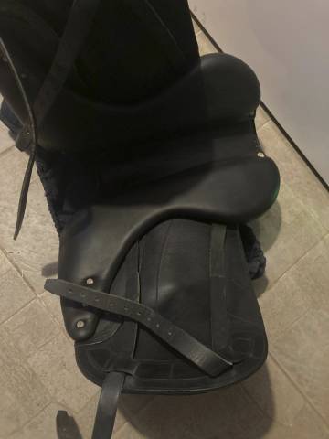 selle dressage Antares tempo 17 pouces