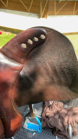 Selle Pessoa 16,5”