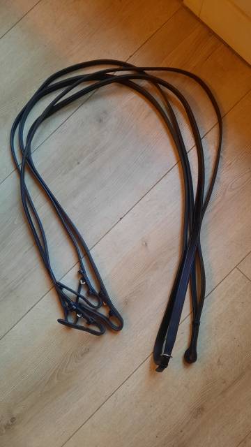 4 r&ecirc;nes Passier pour bride