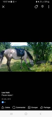 selle mixte  noire 17''