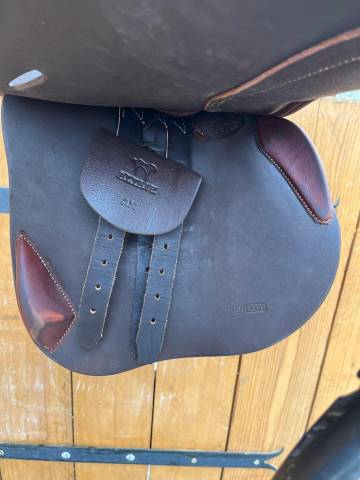 Selle Antares Altair 2022