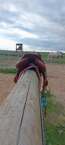 Selle cross cwd mono quartier 