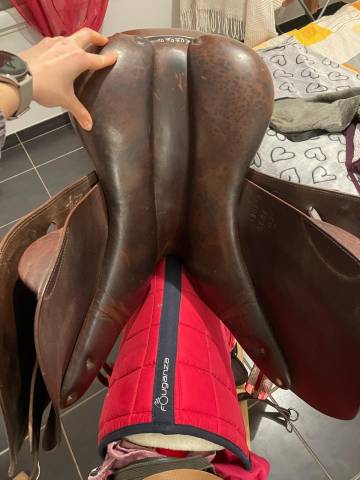 selle cheval poney sellerie cassou