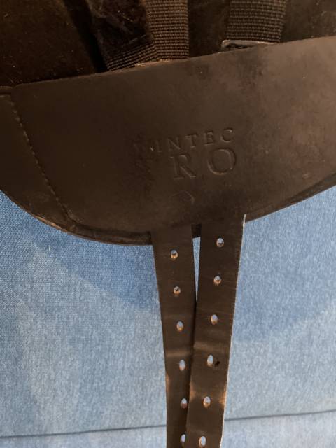 Selle dressage Wintec pro