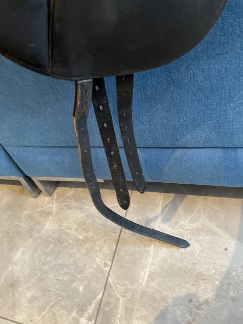 Selle dressage Wintec pro