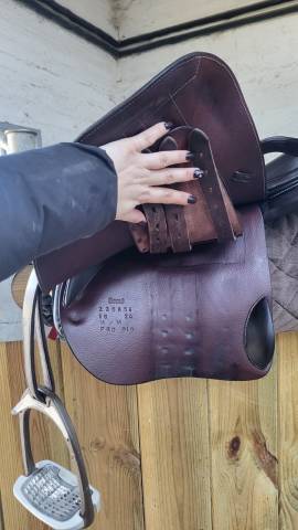 Selle Forestier Séoul