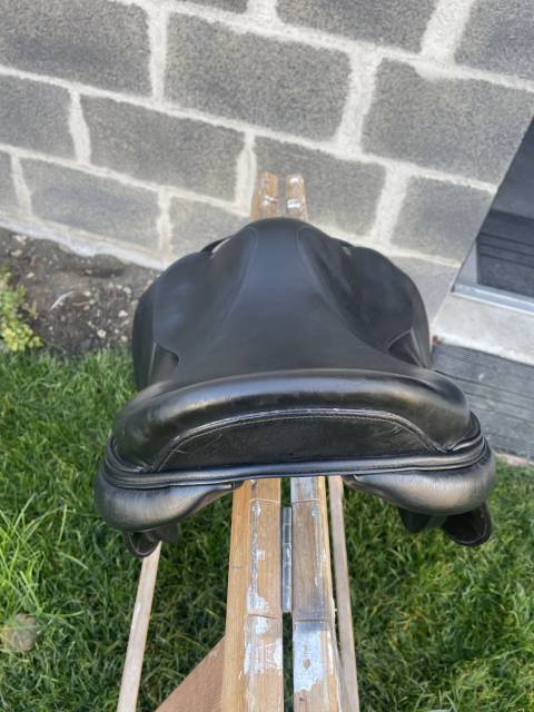 Selle time rider platinium 