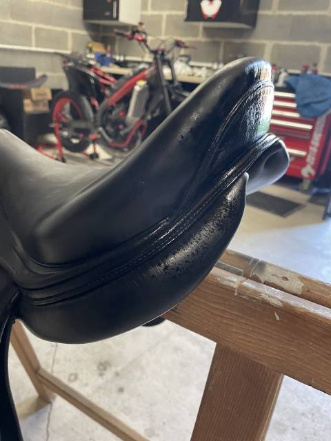 Selle time rider platinium 