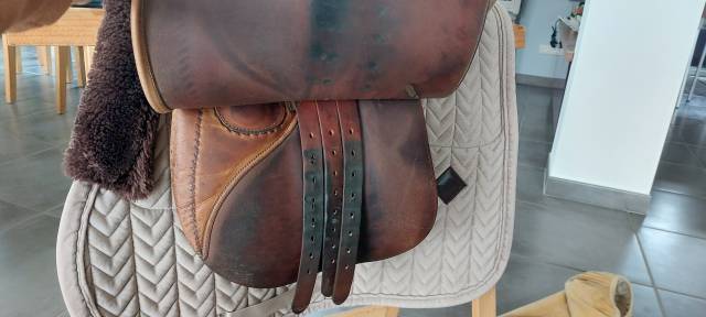 Selle butet 17 année 99