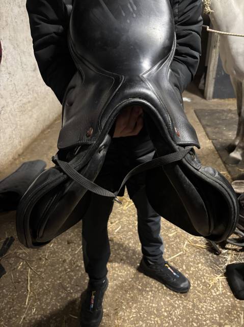 Selle prestige Michel robert