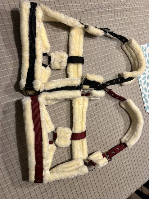 Licol neuf Showmaster