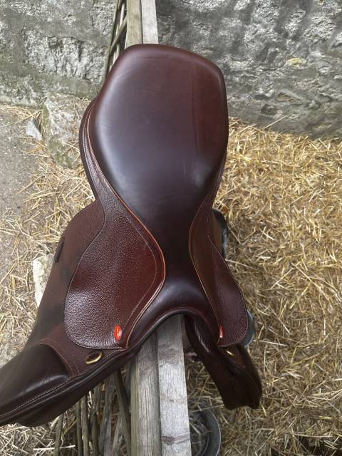 Time rider 17"5 nickel