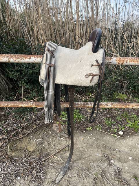 Selle de Doma Vaquera 