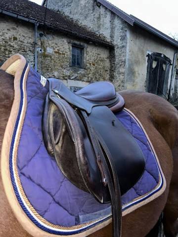 Selle ANTARES contact 17,5 havane 