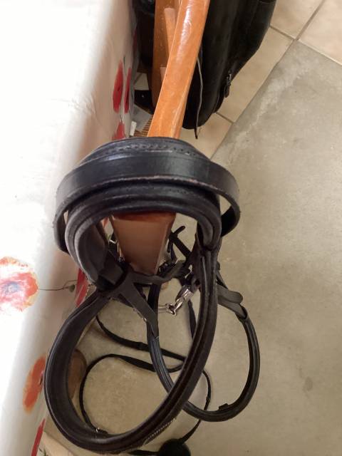 Bridon en cuir noir avec les coutures blanches 