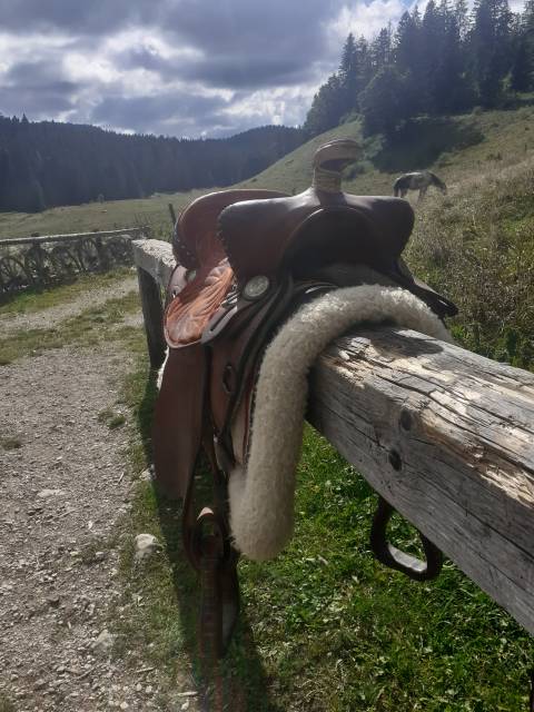 Selle Western de qualité