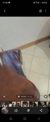 Selle forestier Atlanta 