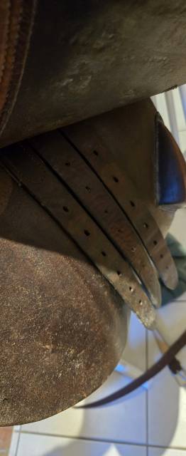 Selle forestier Atlanta 