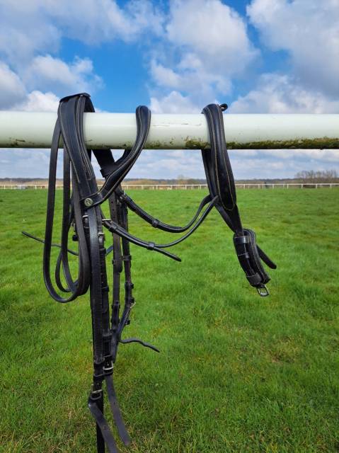 Bride dressage norton noire FS  