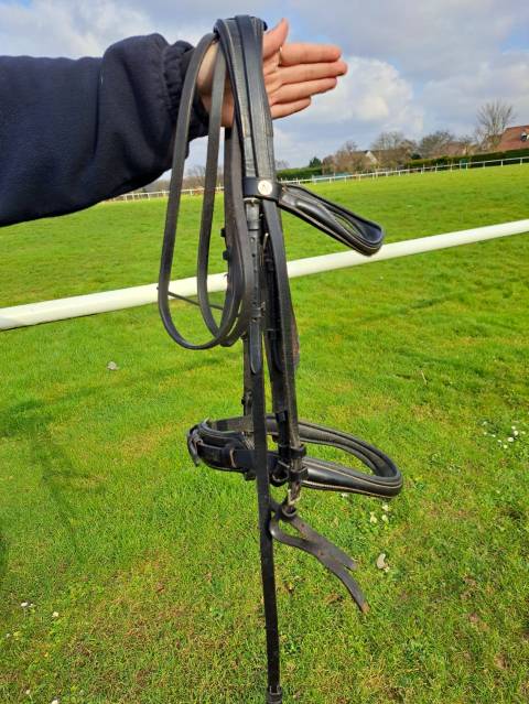 Bride dressage norton noire FS  