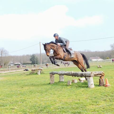 Top cheval de loisir, orientation CSO CCE