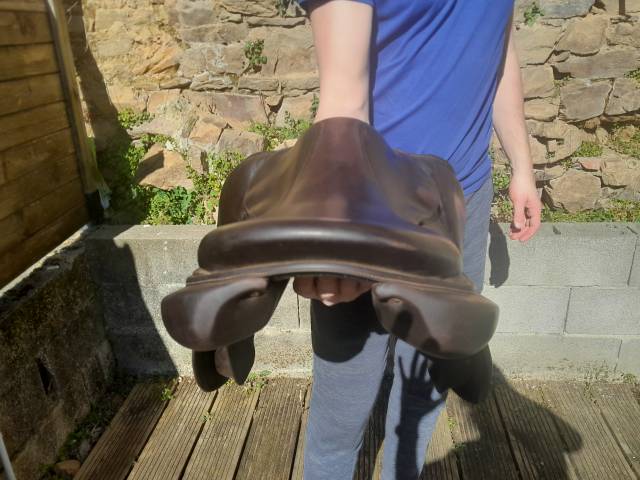 Selle seoul forestier 