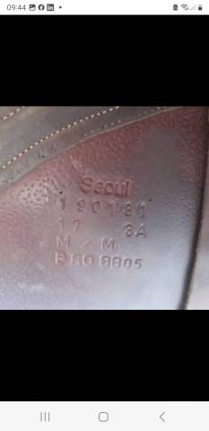 Selle seoul forestier 