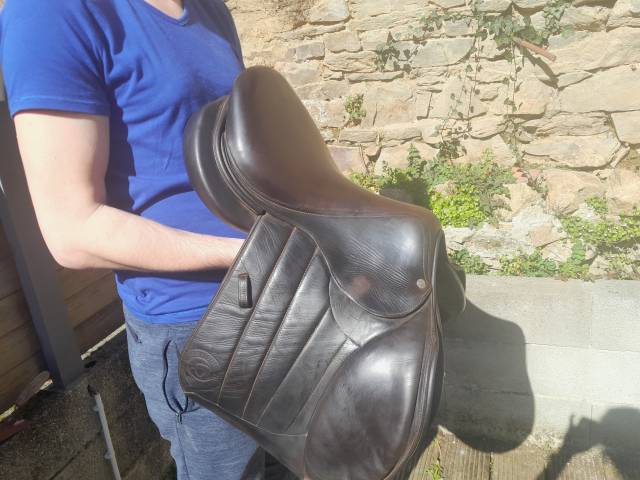 Selle seoul forestier 