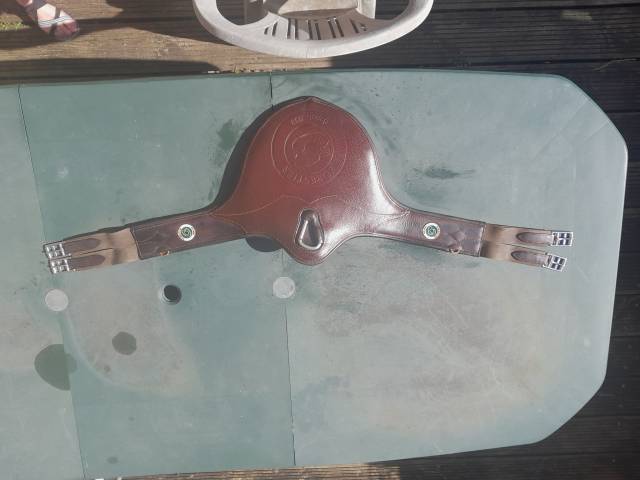 Selle seoul forestier 