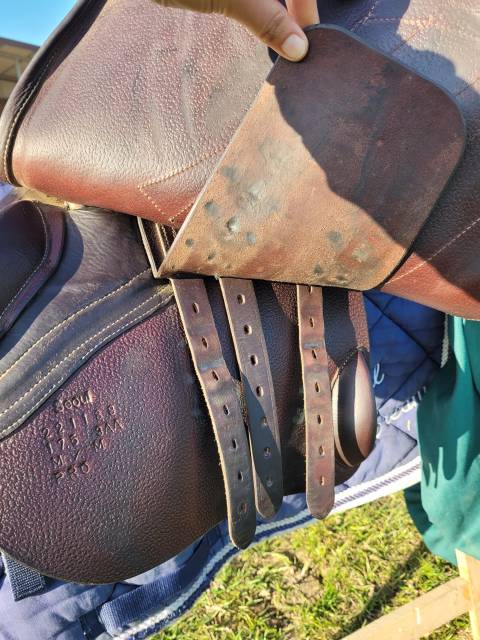 Selle Forestier - Séoul