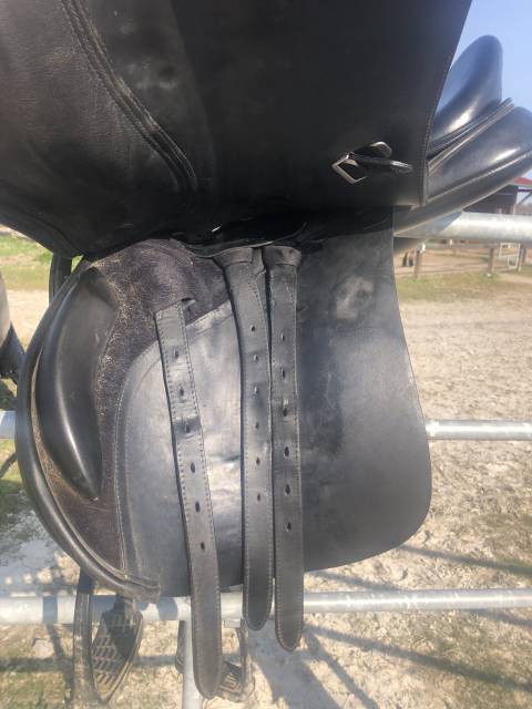 Selle mixte Bates 17 pouces 