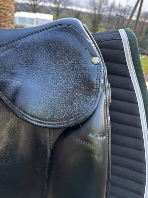 Selle dressage forestier 