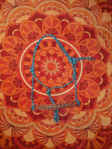 Licol &eacute;thologique 