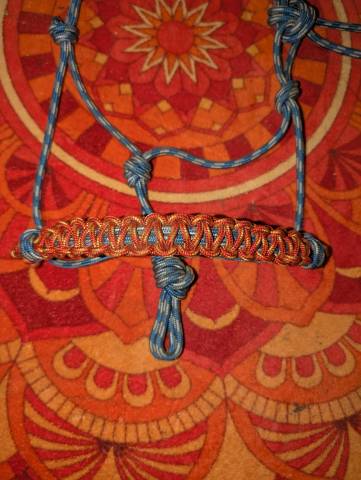 Licol &eacute;thologique 