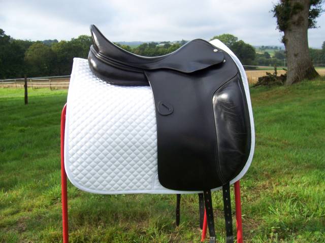 Amerigo Vega Selle de Dressage
