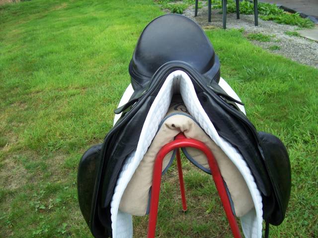 Amerigo Vega Selle de Dressage