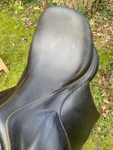 Selle de dressage Childeric