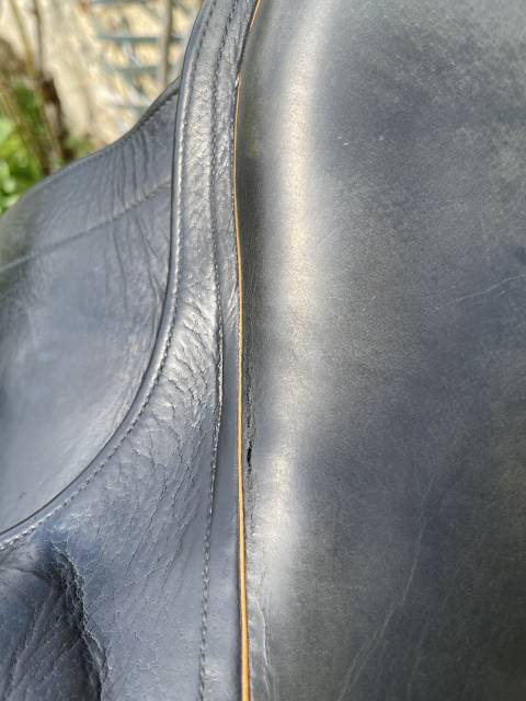 Selle de dressage Childeric