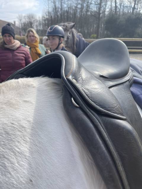 Selle de dressage Childeric