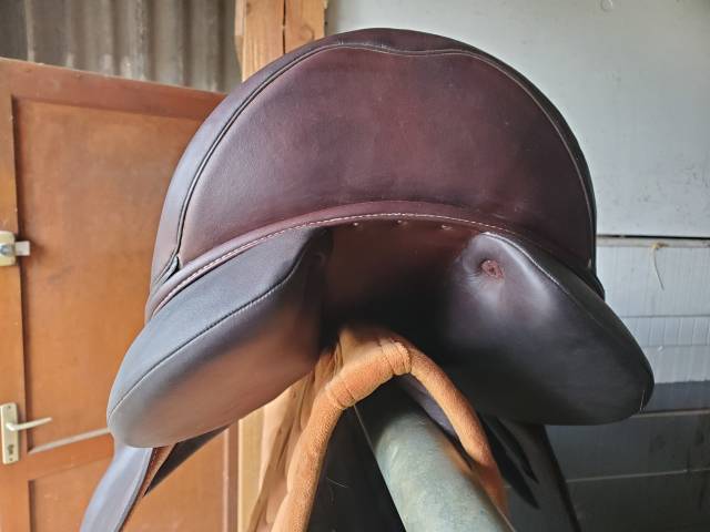 Selle de dressage Forestier, neuve