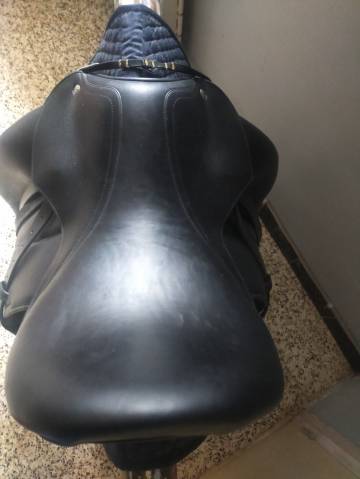 Selle dressage Voltaire 