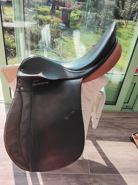 Excellente selle: suisse, FELSBACH Summaprada Husar