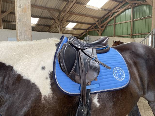 Selle ikonic évolution Line 17’ 