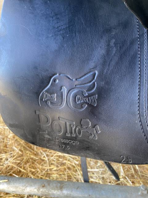 Selle de dressage