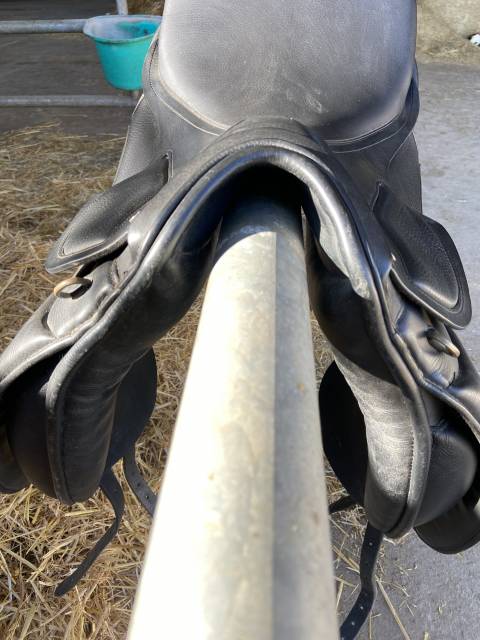 Selle de dressage