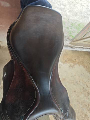 Selle Ikonic 17"